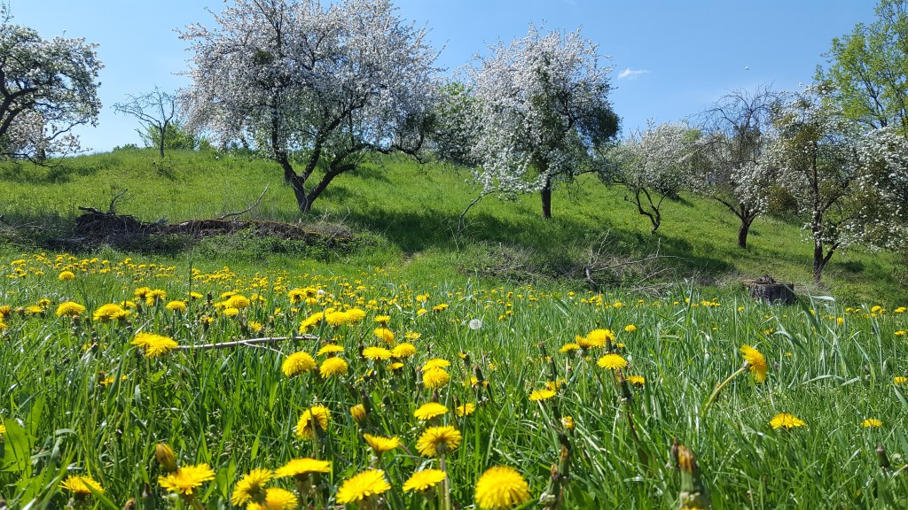 Aufruf zur Wahl – Zeit für einen&nbsp;Neuanfang!