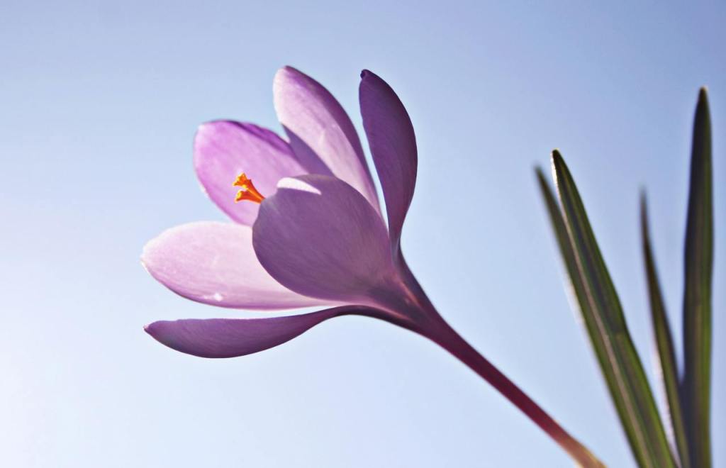 Aufruf – Demokratie ist&nbsp;Arbeit