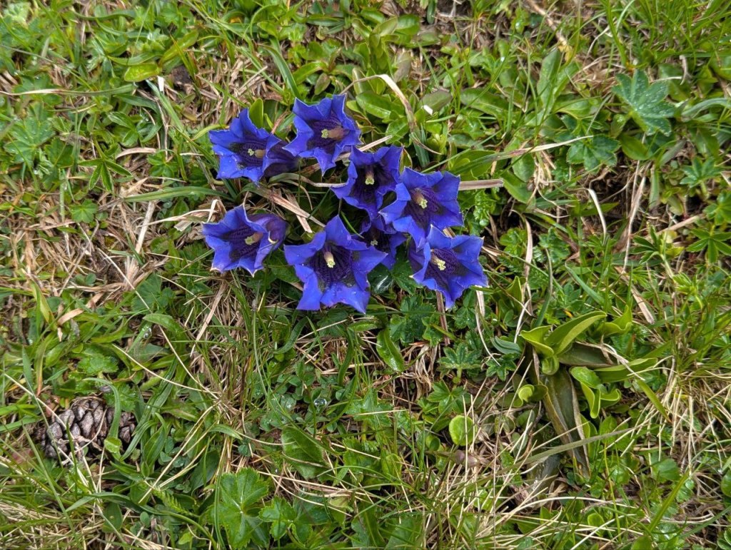 Couchgeneräle –
Stupid/fanatische Mitläufer sind unser eigentliches Problem.