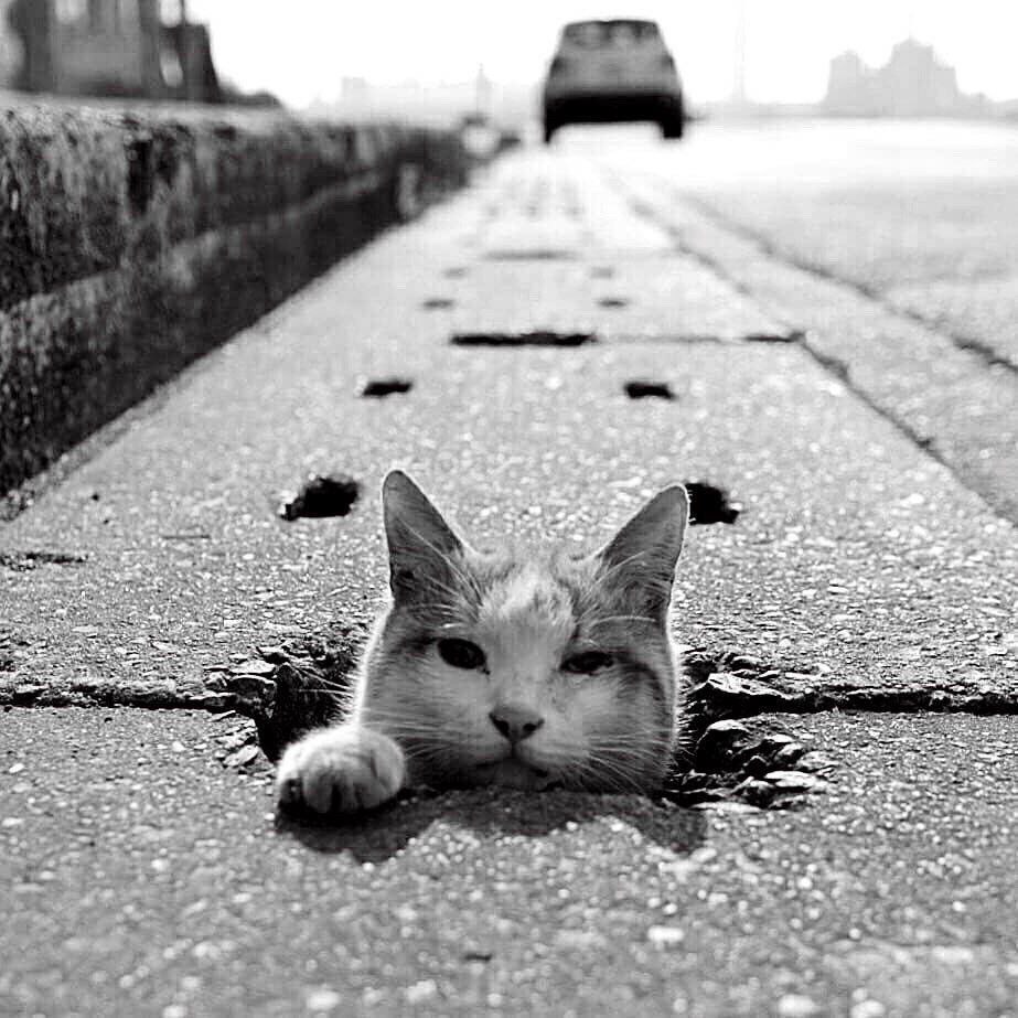 Wie Konservative unser Land mitruiniert&nbsp;haben…