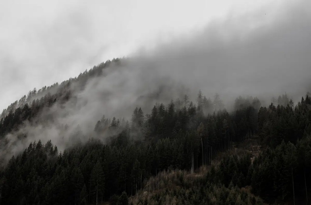 Persönliche Entwicklung Teil 1. Orientierungslosigkeit –&nbsp;Realitätsflucht