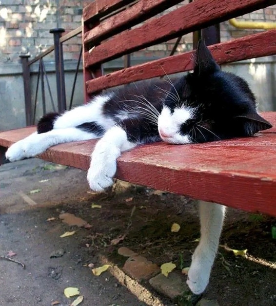 Wir scrollen, wir teilen, wir kommentieren…