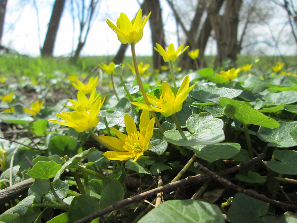 AUFWACHPROGRAMM 2026 – TAG 15 – Macht ohne Kult: Wie Führung entsteht und wie man sie sauber&nbsp;hält