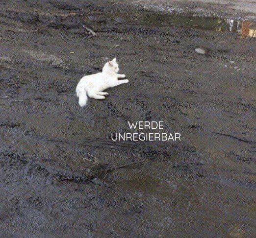 AUFWACHPROGRAMM 2026 – TAG 1 – Werde&nbsp;unregierbar