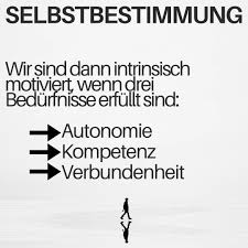 AUFWACHPROGRAMM 2026 – TAG 17/2 – Der soziale Preis von Wahrheit: Warum Menschen lieber dazugehören als&nbsp;handeln