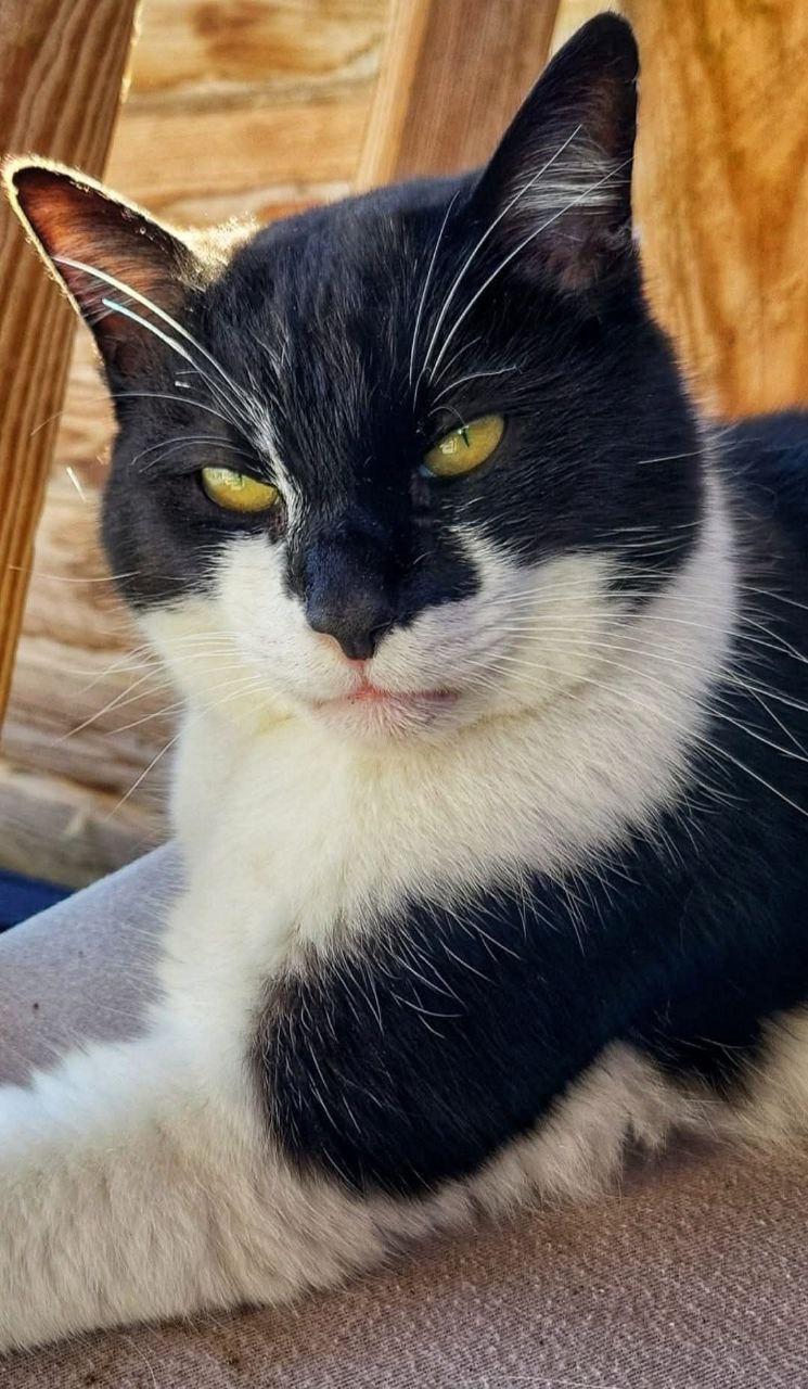 AUFWACHPROGRAMM 2026 – TAG 11 – Der Umgang mit Disziplin und Gewohnheiten: Aufbau statt&nbsp;Vorsatz