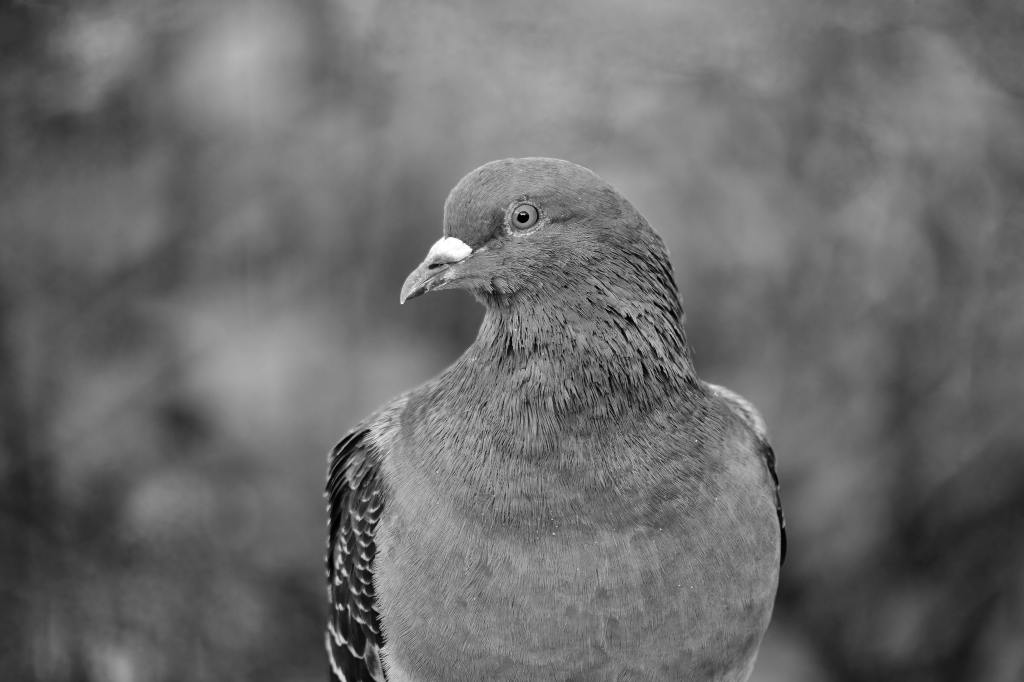Aktuelle Eskalation im Nahen Osten – Stellungnahme der Gruppe Störung & Wirkung